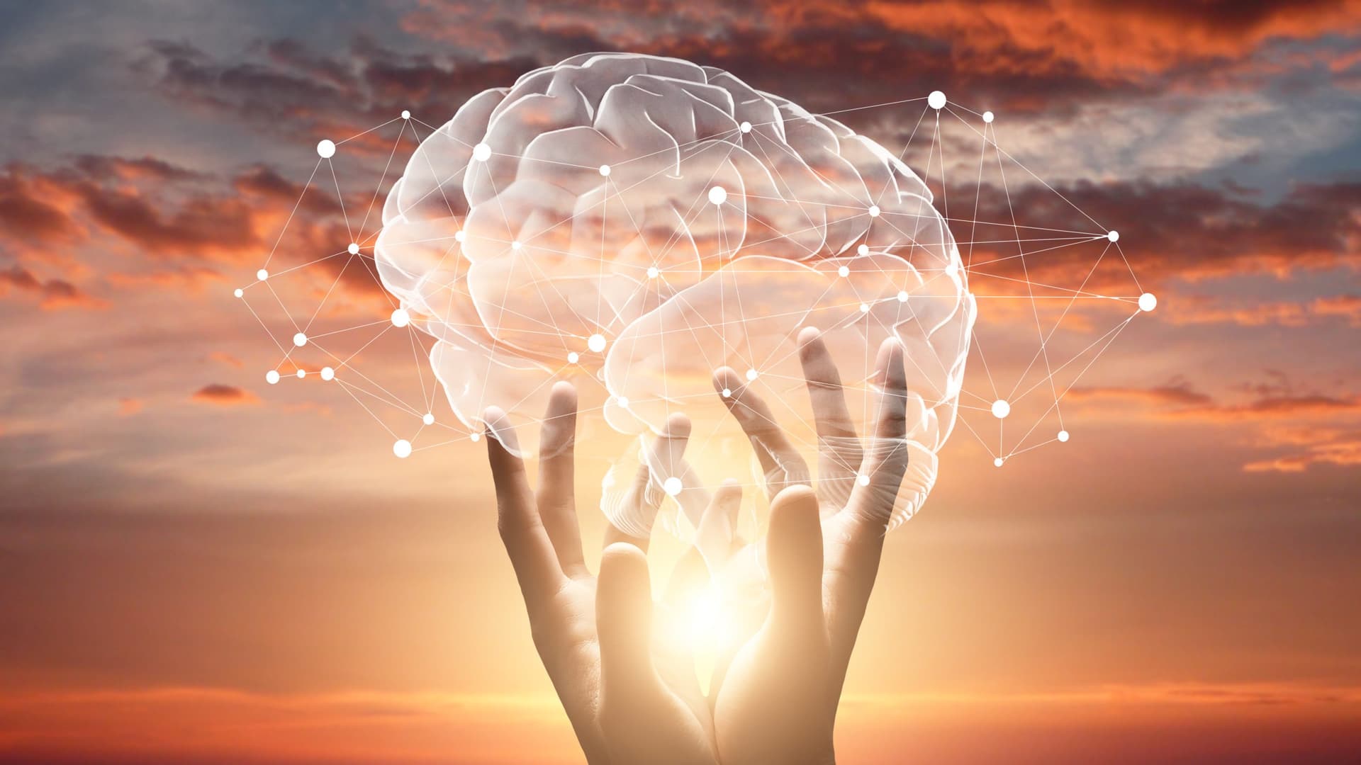BodyTalk Principles — Mind, brain networks, and energy flow